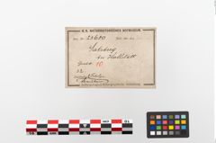 Etiketten zu Bronzebrillenfibel (NHMW-PRAE-023680)